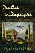 The Owl in Daylight: A screenplay based on the incredible real life of Philip K. Dick - Paperback