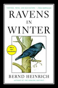 Ravens in Winter - Paperback