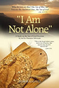 I Am Not Alone: A Study on the Son of God Doctrine by an Ex-Oneness Advocate - Paperback