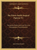 The Edwin Smith Surgical Papyrus V2: Facsimile Plates and Line for Line Hieroglyphic Transliteration - Paperback
