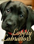 Lovely Labradors - Paperback