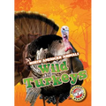 Wild Turkeys - Library Binding