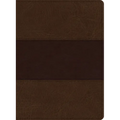KJV Study Bible, Large Print Edition, Saddle Brown Leathertouch - Imitation Leather