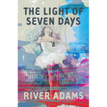 The Light of Seven Days a Novel - Hardcover
