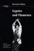 Gypsies and Flamenco: The Emergence of the Art of Flamenco in Andalusia, Interface Collection Volume 6 - Paperback