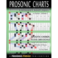 Fretboard Chord Charts for Guitar - Volume 2 - Paperback