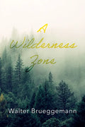 A Wilderness Zone - Hardcover