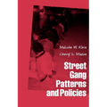 Street Gang Patterns and Policies - Paperback