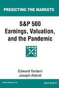 S&P 500 Earnings, Valuation, and the Pandemic: A Primer for Investors - Paperback
