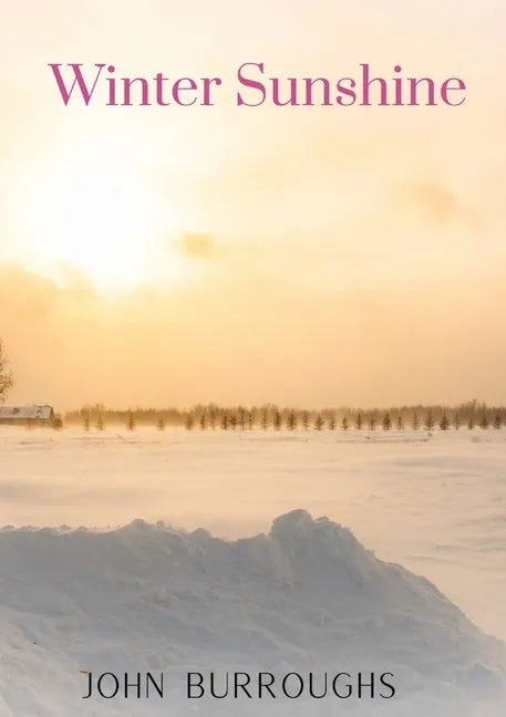 Winter Sunshine - Paperback
