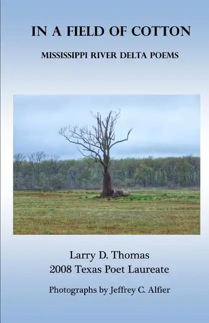 In a Field of Cotton: Mississippi River Delta Poems - Paperback