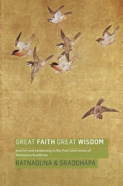 Great Faith, Great Wisdom: Practice and Awakening in the Pure Land Sutras of Mahayana Buddhism - Paperback