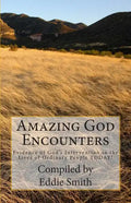 Amazing God Encounters: Amazing Stories of God's Intervention - Paperback