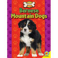 Bernese Mountain Dogs - Paperback