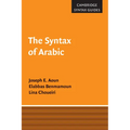 The Syntax of Arabic - Paperback