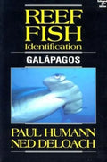 Reef Fish Identification Galapagos - Paperback