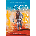 God Is Red: A Native View of Religion - Paperback