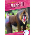 Mandrill - Library Binding