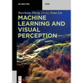 Machine Learning and Visual Perception - Paperback