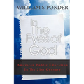 In the Eyes of God: American Public Education in the Twenty-First Century - Paperback