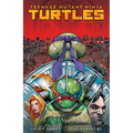 Teenage Mutant Ninja Turtles: NYC vs. Tmnt - Paperback