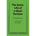 A Sonic Life of a Giant Tortoise - Paperback