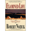 Examined Life: Philosophical Meditations - Paperback