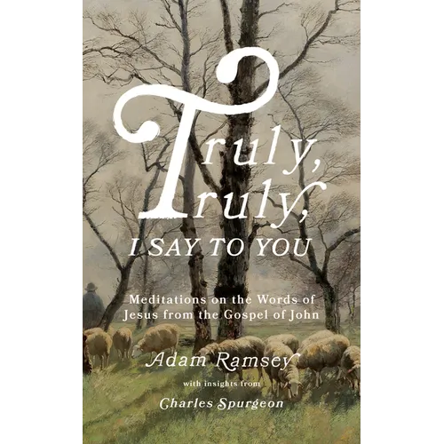 Truly, Truly, I Say to You: Meditations on the Words of Jesus from the Gospel of John - Paperback