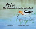 Ava: A Year of Adventure in the Life of an American Avocet - Hardcover