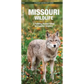Missouri Wildlife: A Folding Pocket Guide to Familiar Animals - Hardcover