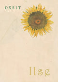 Ilse - Paperback