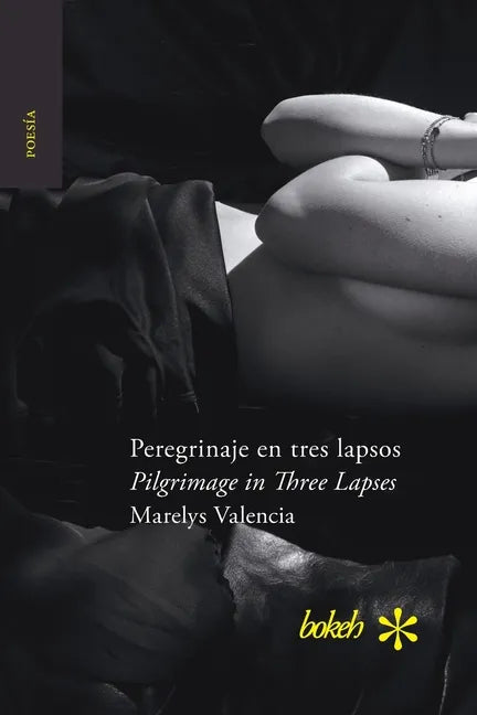Peregrinaje en tres lapsos / Pilgrimage in Three Lapses - Paperback