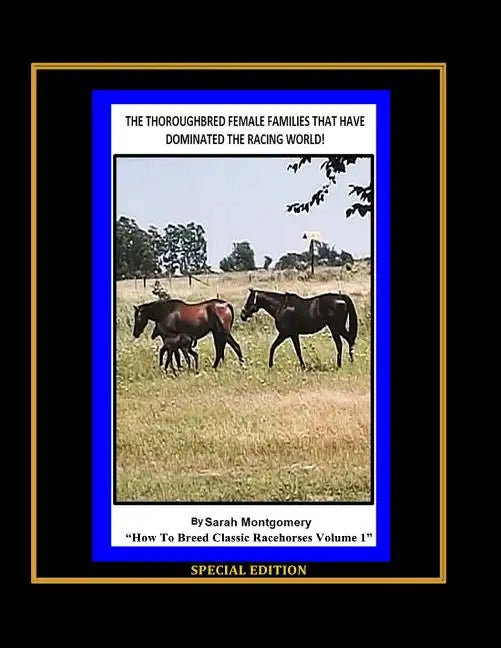 The Thoroughbred Female Families That Have Dominated The Racing World - Paperback