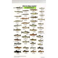 Mac's Field Guides: North American Freshwater Fish - Paperback