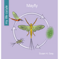 Mayfly - Library Binding
