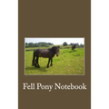 My Fell Pony - Paperback