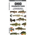 Ohio Freshwater Fishes - Paperback