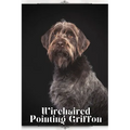 Wirehaired Pointing Griffon: Dog breed overview and guide - Paperback