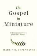 The Gospel in Miniature: Meditations for When You Have a Minute - Paperback