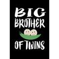 Big Brother Of Twins: Family Collection - Paperback