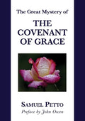 The Great Mystery of the Covenant of Grace: The Difference between the Old and New Covenant Stated and Explained - Paperback