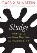 Sludge: What Stops Us from Getting Things Done and What to Do about It - Paperback