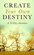 Create Your Own Destiny: A 28 Day Adventure - Paperback