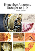 Honeybee Anatomy Brought to Life - Paperback