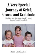 A Very Special Journey of Grief, Grace, and Gratitude: No, They Are Not Okay...but It's Okay! Raising Special Needs Kids - Paperback