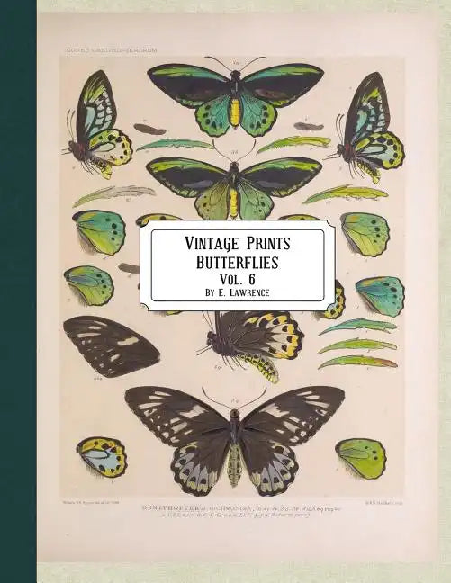 Vintage Prints: Butterflies: Vol. 3 - Paperback