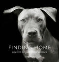 Finding Home: Shelter Dogs and Their Stories - Hardcover