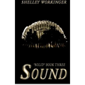 Sound: Solid, Book 3 - Paperback