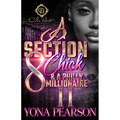 A Section 8 Chick & A Philly Millionaire 2: An African American Romance - Paperback
