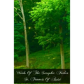 Works Of The Seraphic Father St. Francis Of Assisi - Paperback